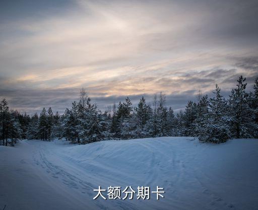 大额分期卡