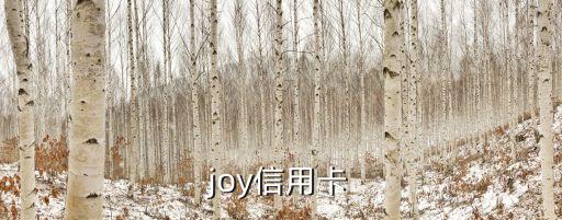 joy信用卡