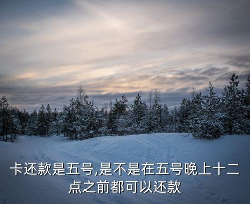 卡还款是五号,是不是在五号晚上十二点之前都可以还款