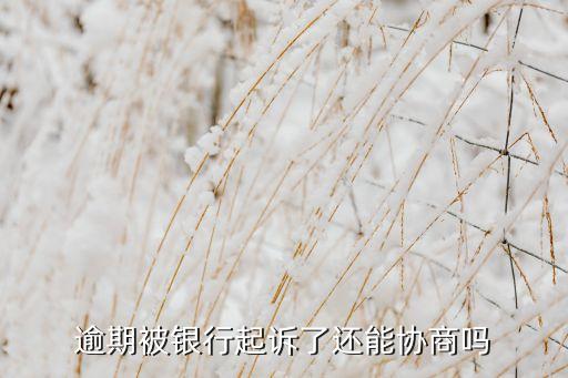 逾期被银行起诉了还能协商吗