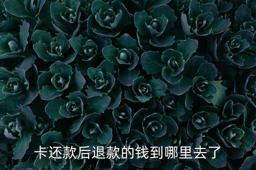 卡还款后退款的钱到哪里去了