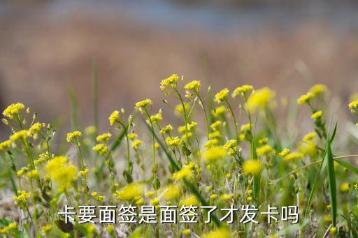 卡要面签是面签了才发卡吗