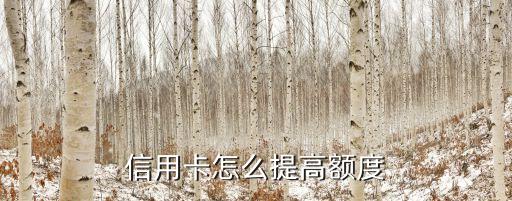 建行信用卡换卡时怎么提升额度,被更换的建行信用卡重新激活