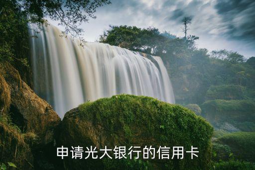 申请光大银行的信用卡