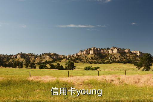 信用卡young