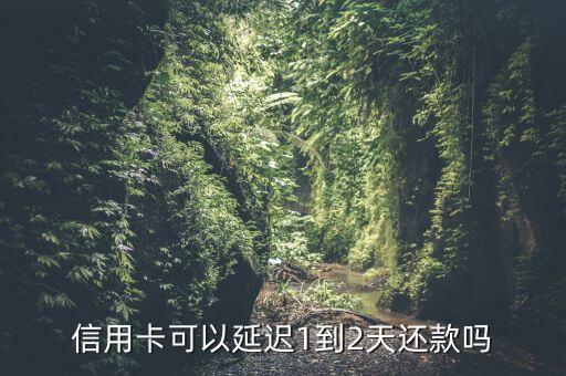 信用卡可以延迟1到2天还款吗