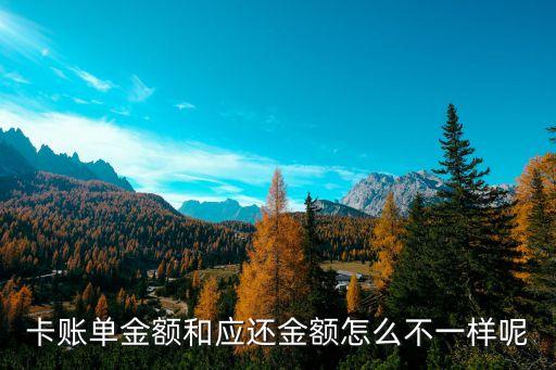 卡账单金额和应还金额怎么不一样呢