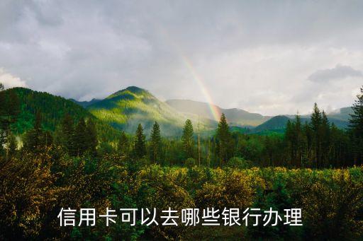 浦发银行银行信用卡双币版,双币信用卡是什么意思?