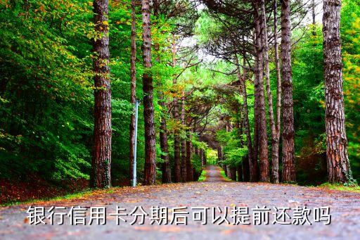 银行信用卡分期后可以提前还款吗