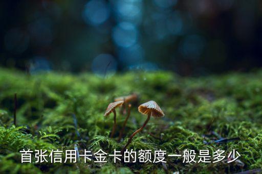 首张信用卡金卡的额度一般是多少