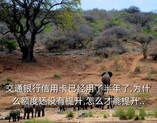 交通银行信用卡已经用了半年了,为什么额度还没有提升,怎么才能提升...