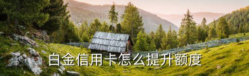 白金信用卡怎么提升额度