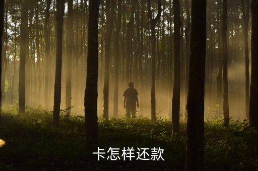 信用卡怎样办还款,可以用信用卡分期还款吗?