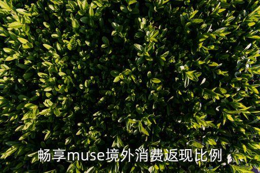 muse信用卡返现申请,建行muse信用卡申请