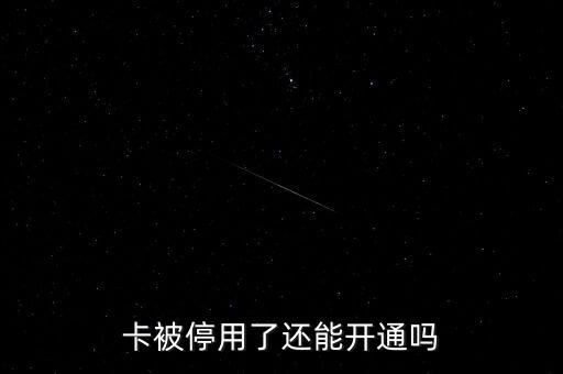 卡被停用了还能开通吗