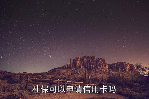 网上申请信用卡社保还没交,信用卡没有社保怎么办?