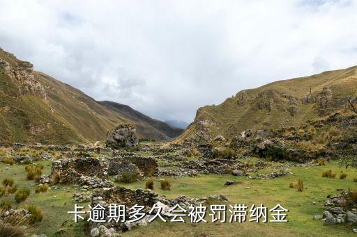 卡逾期多久会被罚滞纳金