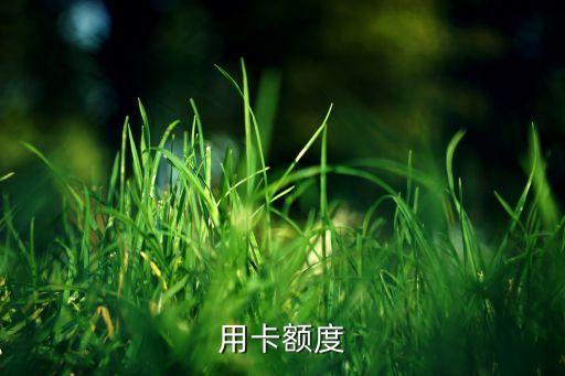 用卡额度