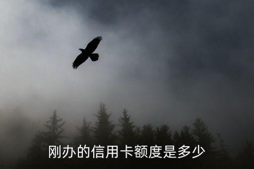 刚办的信用卡额度是多少