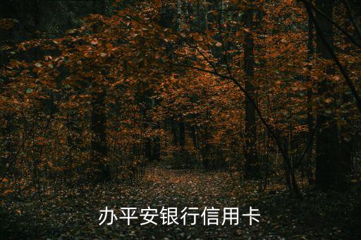济南的平安银行信用卡办卡支行,平安银行信用卡推荐用卡奖励