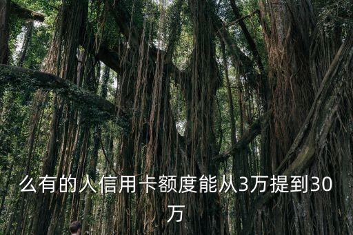 么有的人信用卡额度能从3万提到30万