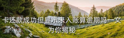 卡还款成功但显示未入账算逾期吗一文为你揭秘