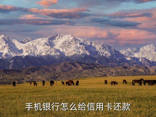 手机银行怎么给信用卡还款