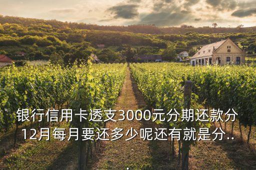 银行信用卡透支3000元分期还款分12月每月要还多少呢还有就是分...