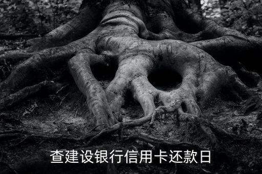 查建设银行信用卡还款日