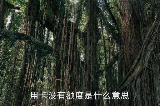 用卡没有额度是什么意思