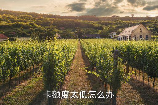 卡额度太低怎么办