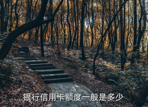 银行信用卡额度一般是多少