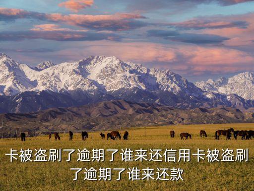 卡被盗刷了逾期了谁来还信用卡被盗刷了逾期了谁来还款