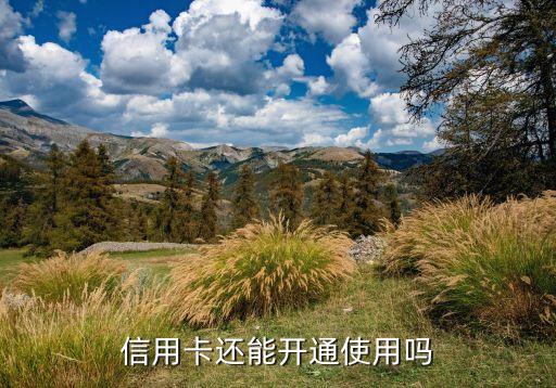 信用卡还能开通使用吗