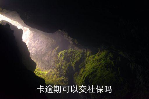 卡逾期可以交社保吗