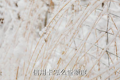 信用卡怎么查额度