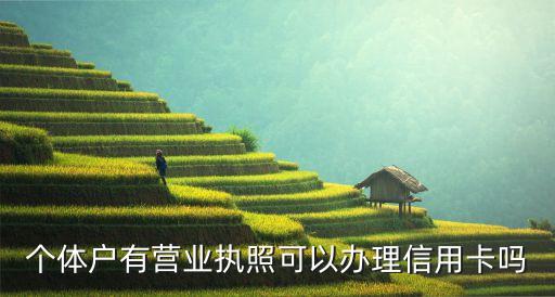 个体户有营业执照可以办理信用卡吗