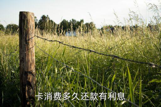 信用卡还款利息账单,你怎么看信用卡还款率?
