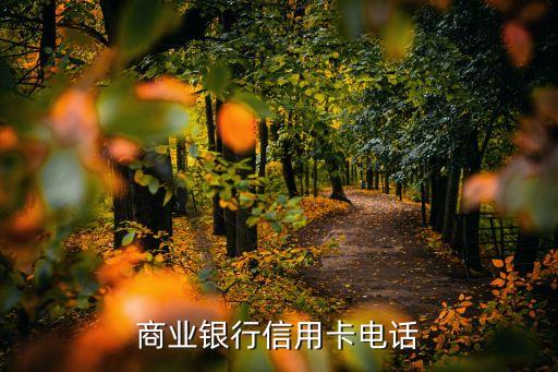 宝庆农商银行信用卡部,农村商业银行信用卡95566