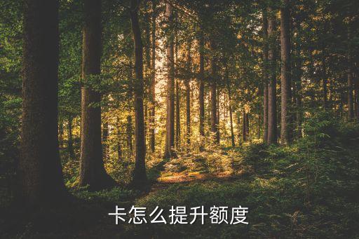 卡怎么提升额度