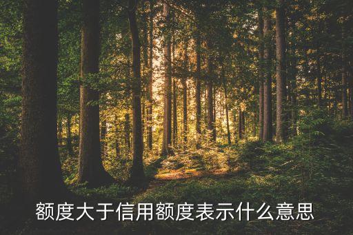 额度大于信用额度表示什么意思