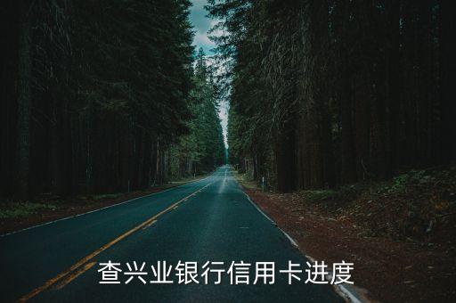 查兴业银行信用卡进度