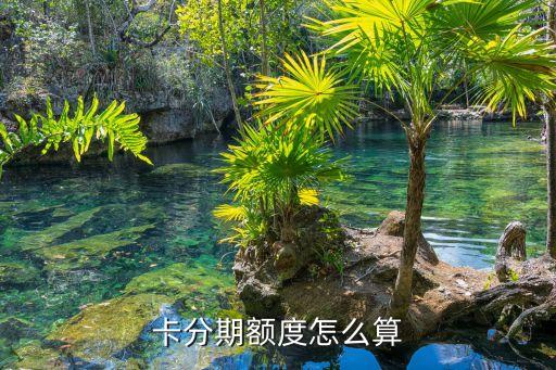 卡分期额度怎么算