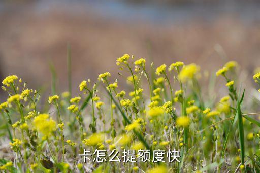 卡怎么提额度快