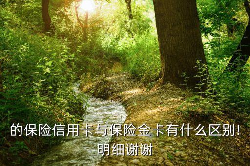 的保险信用卡与保险金卡有什么区别!明细谢谢