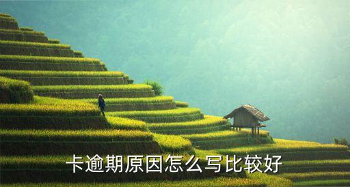 信用卡逾期怎么写明,2022年信用卡逾期流程