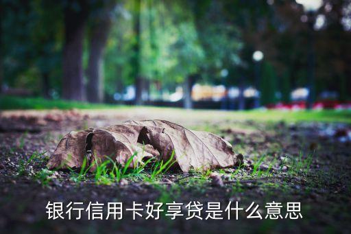 银行信用卡好享贷是什么意思