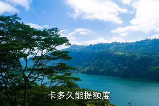 卡多久能提额度