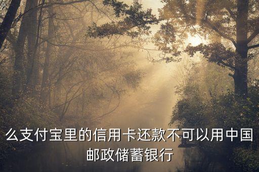 此银行暂不支持信用卡还款,银行二维码不支持信用卡