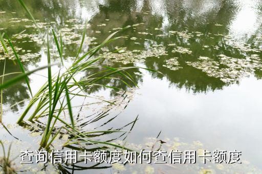 如何查询信用卡额度的情况,如何查询信用卡额度?